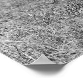 Poster Femme Sharpshooter, années 1920 (Coin)