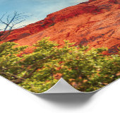 Poster Femme sur l'affiche de la chiropratique rock (Coin)