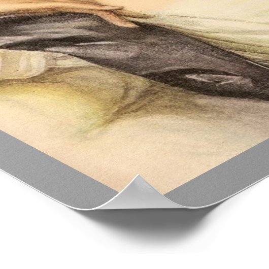 Poster Femme victorienne (Coin)