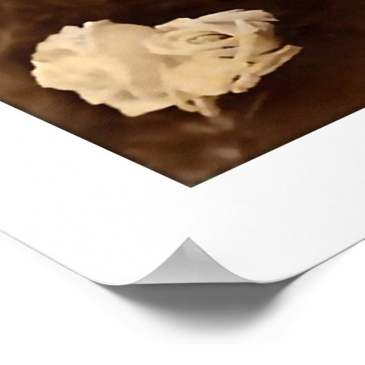 Poster femme victorienne, long profil cheveux (Coin)