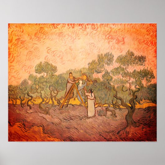 Poster Femmes cueillant des olives par van Gogh : (Devant)