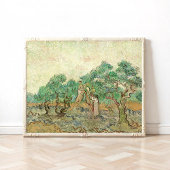 Poster Femmes cueillant des olives, Van Gogh