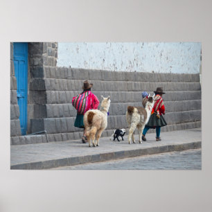 Poster Femmes et Alpacas, Cusco, Pérou
