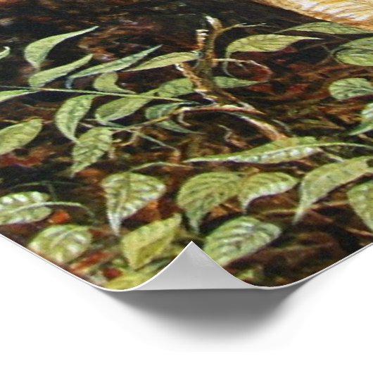 POSTER FENÊTRE (Coin)