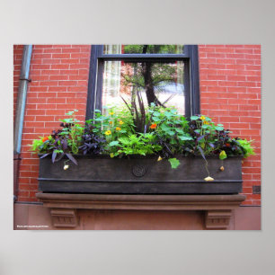 Poster Fenêtre de Brooklyn