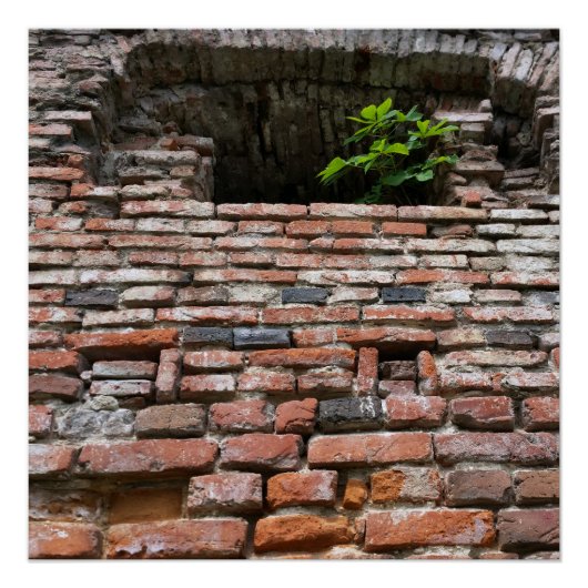 Poster fenêtre de mur de forteresse (Devant)