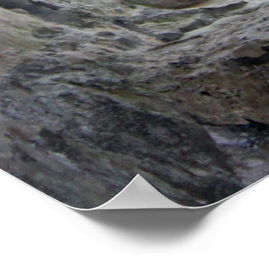 Poster Fenêtre en pierre encadrant une plage et des arbre (Coin)