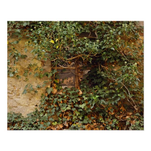 Poster Fenêtre hantée (Devant)