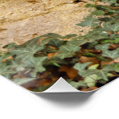 Poster Fenêtre hantée (Coin)