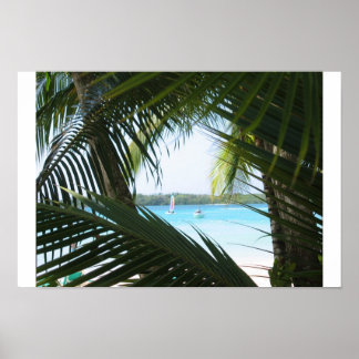 Poster Fenêtre Paradis