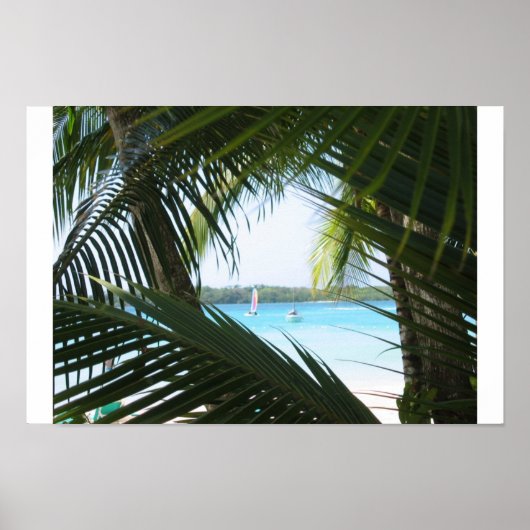 Poster Fenêtre Paradis (Devant)