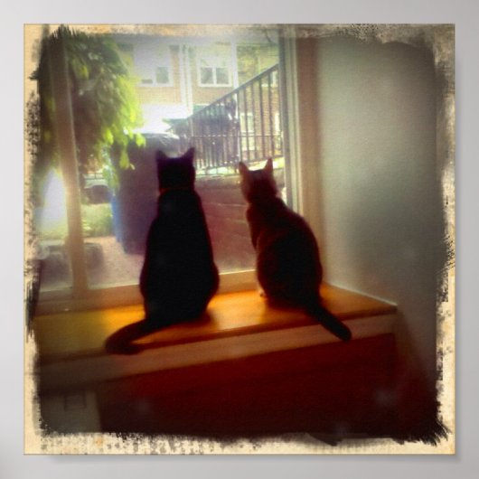 Poster Fenêtre regardant Kitties (Devant)