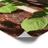 Poster Fenêtre surélevée (Coin)