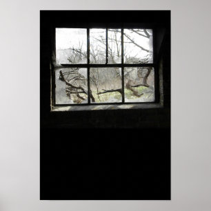 Poster Fenêtre Watchin