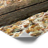 Poster Fenêtre Woodland (Coin)