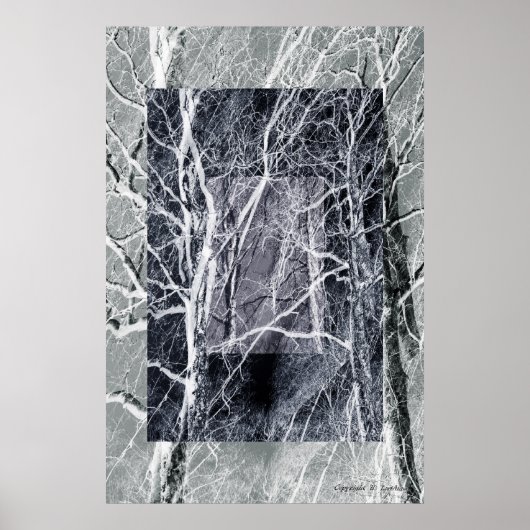 Poster Fenêtres en bois (Devant)