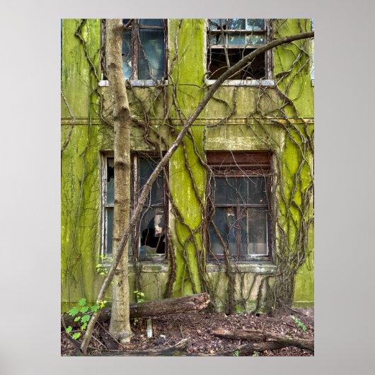 Poster Fenêtres et Vignes (Devant)