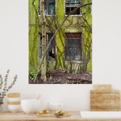 Poster Fenêtres et Vignes (Cuisine)