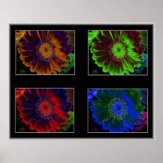 Poster Fenêtres florales