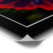 Poster Fenêtres florales (Coin)