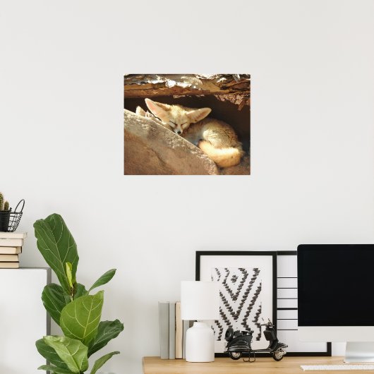 Poster Fennec Fox (Bureau à domicile)