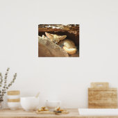 Poster Fennec Fox (Cuisine)