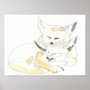 Poster Fennec Foxes