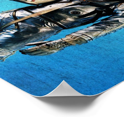 Poster Fennec le capitaine (Coin)