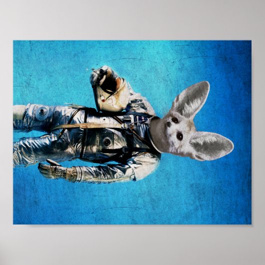 Poster Fennec le capitaine (Devant)