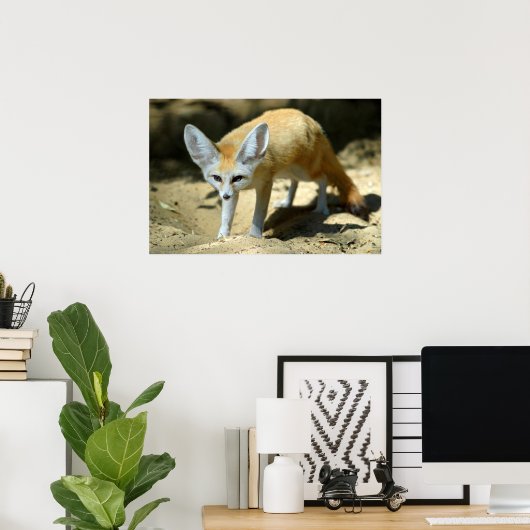Poster Fennec renx (Bureau à domicile)