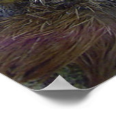 Poster Fente à trois doigts (Coin)