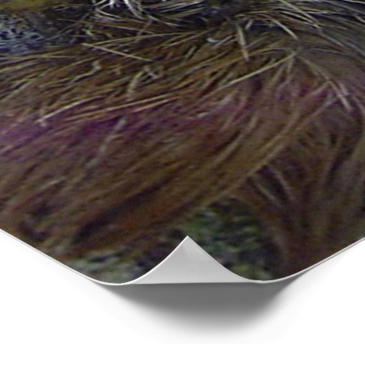 Poster Fente à trois doigts (Coin)