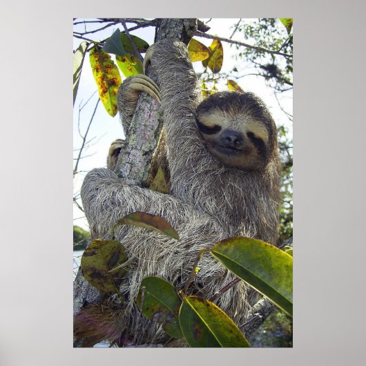 Poster Fente à trois doigts (Devant)