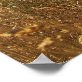 Poster Fer plat (Coin)