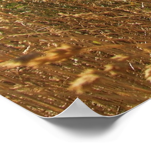 Poster Fer plat (Coin)