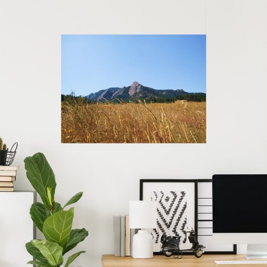 Poster Fer plat (Bureau à domicile)