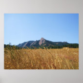 Poster Fer plat (Devant)