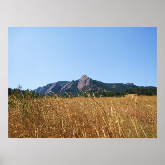 Poster Fer plat (Devant)