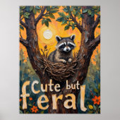 Poster Feral encadré : Raccoon's Cosy Spot (Devant)