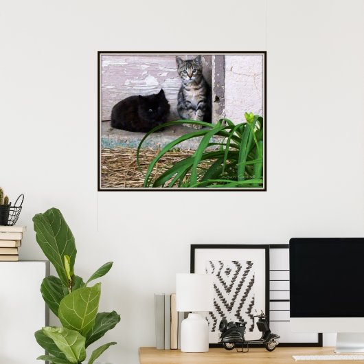 Poster Feral Kittens (Bureau à domicile)