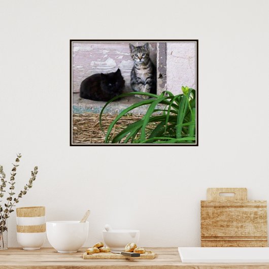 Poster Feral Kittens (Cuisine)