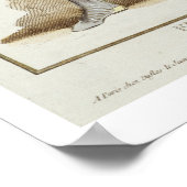 Poster Ferdinand I (1379-1416) Roi d'Aragon de 'Receu (Coin)