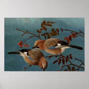 Poster Ferdinand von Wright - Jays