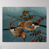 Poster Ferdinand von Wright - Jays (Devant)