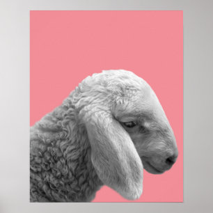 Poster Ferme animale de moutons photo nurserie chambre d'