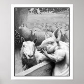 Poster Ferme animale - Squealer (Devant)