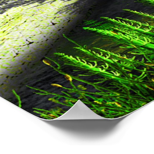 Poster Ferme Carbonifère (Coin)