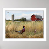 Poster Ferme de faisan (Devant)