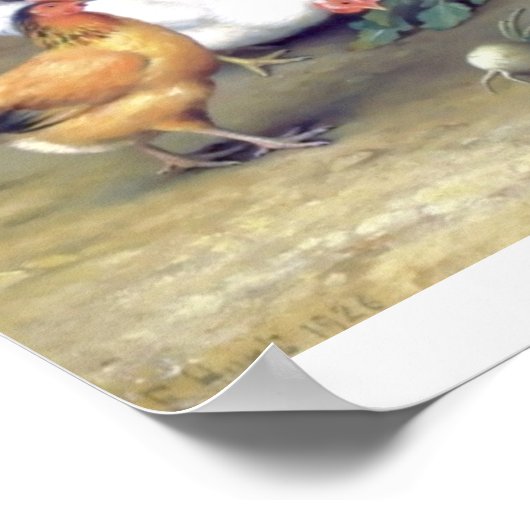 Poster Ferme de navets de coq (Coin)