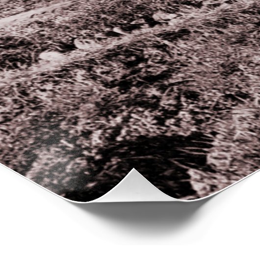 Poster Ferme de Takebe, Okayama (Coin)